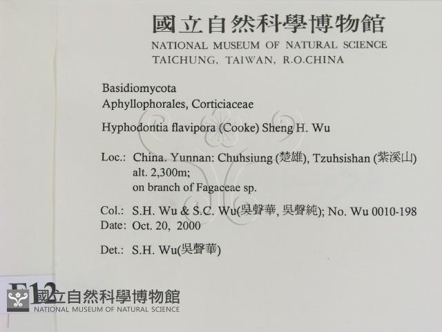 登錄號:F0012226藏品圖，第2張