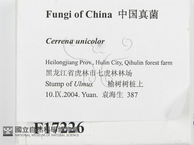 登錄號:F0017226藏品圖，第2張