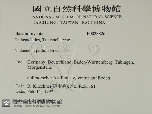 登錄號:F0028826藏品圖，第2張