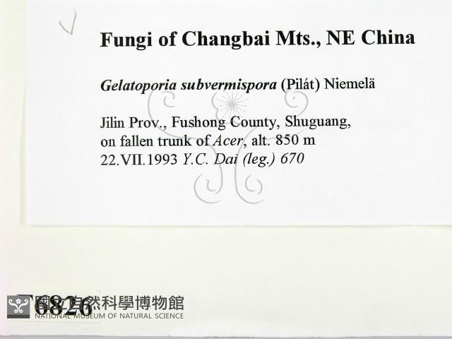 登錄號:F0006826藏品圖，第2張