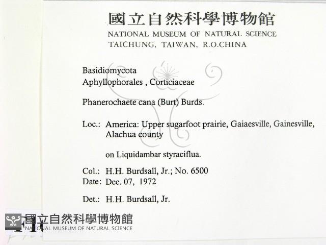 登錄號:F0016826藏品圖，第2張