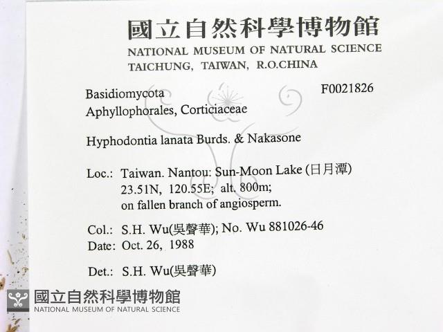 登錄號:F0021826藏品圖，第2張