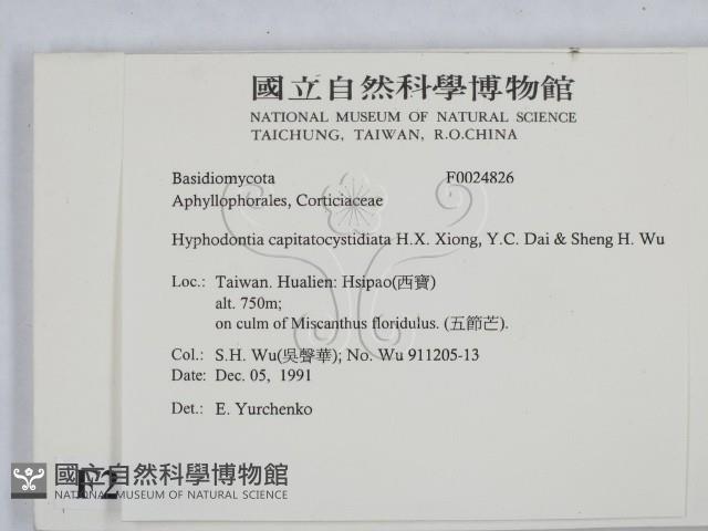 登錄號:F0024826藏品圖，第2張