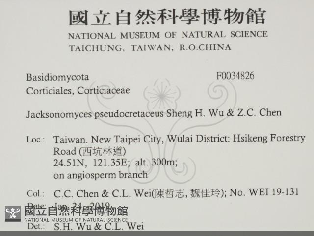 登錄號:F0034826藏品圖，第2張