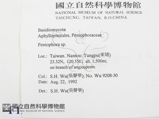 筍殼菌屬藏品圖，第2張