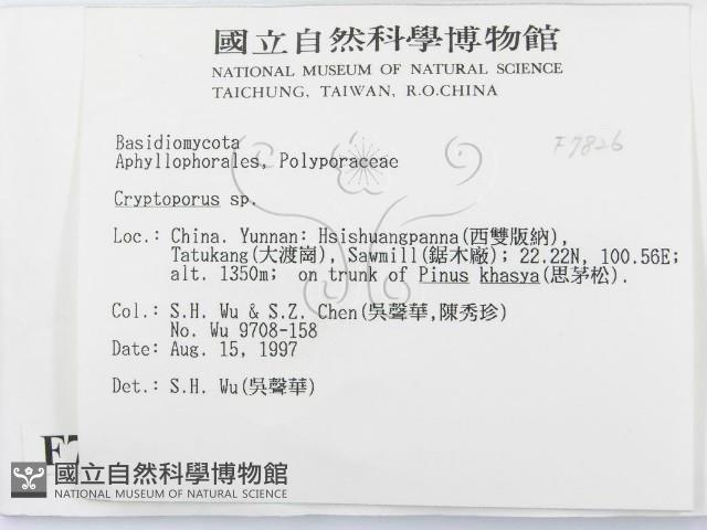 登錄號:F0007826藏品圖，第2張