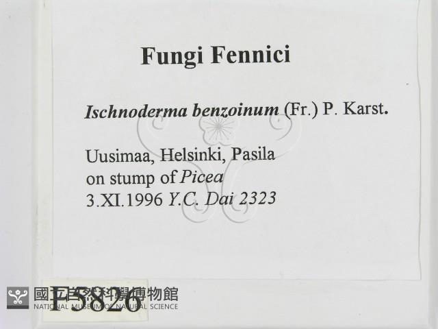 登錄號:F0005826藏品圖，第2張