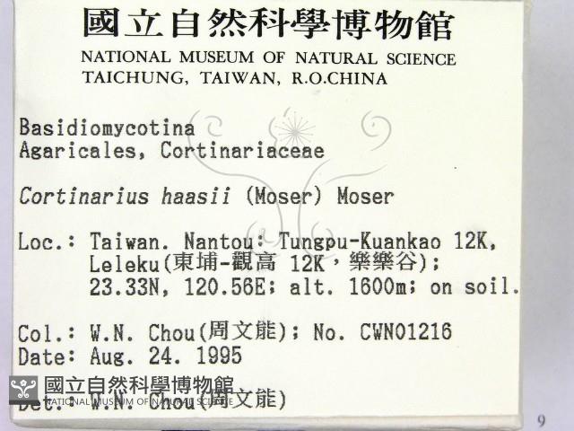 登錄號:F0003826藏品圖，第2張