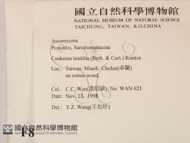 登錄號:F0008926藏品圖，第2張