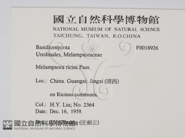 登錄號:F0018926藏品圖，第2張
