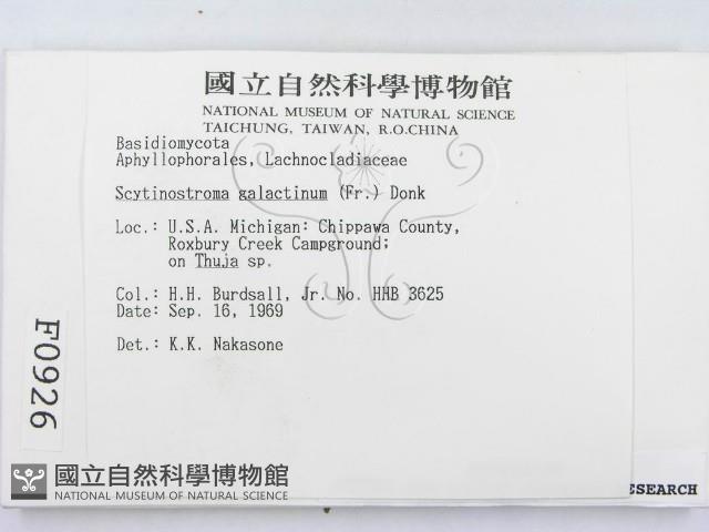 登錄號:F0000926藏品圖，第2張