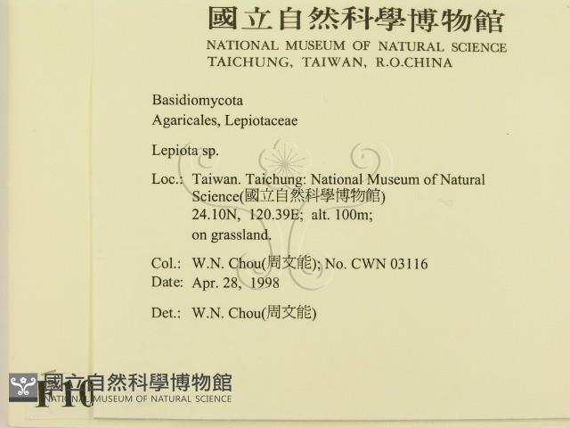 登錄號:F0010926藏品圖，第2張