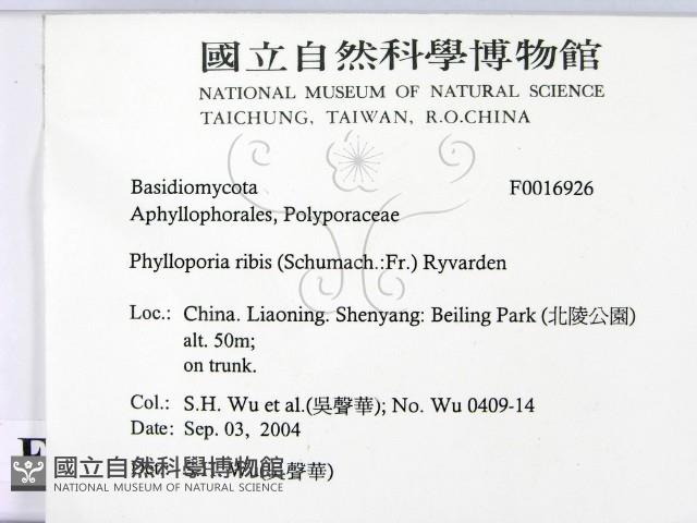 登錄號:F0016926藏品圖，第2張