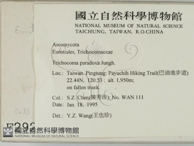 登錄號:F0002926藏品圖，第2張