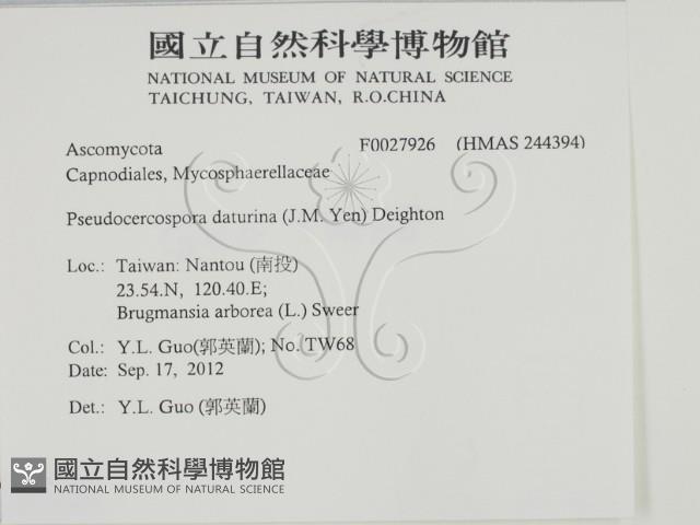 登錄號:F0027926藏品圖，第2張