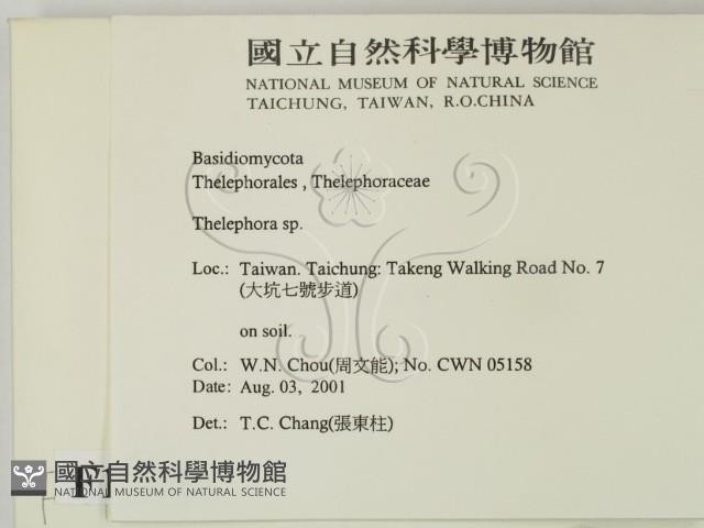 革菌屬藏品圖，第2張