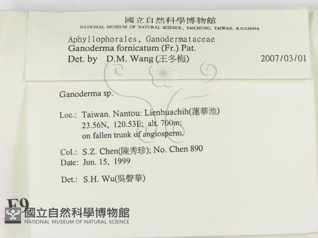 登錄號:F0009926藏品圖，第2張