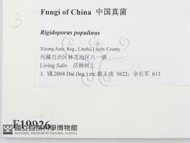 登錄號:F0019926藏品圖，第2張