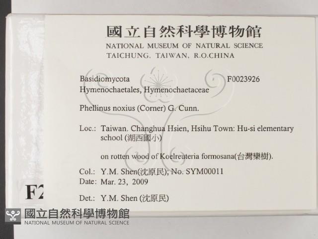 有害木層孔菌藏品圖，第2張