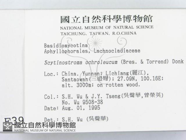 登錄號:F0003926藏品圖，第2張