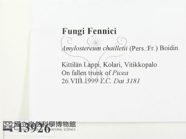 登錄號:F0013926藏品圖，第2張