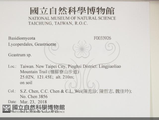 地星屬藏品圖，第2張