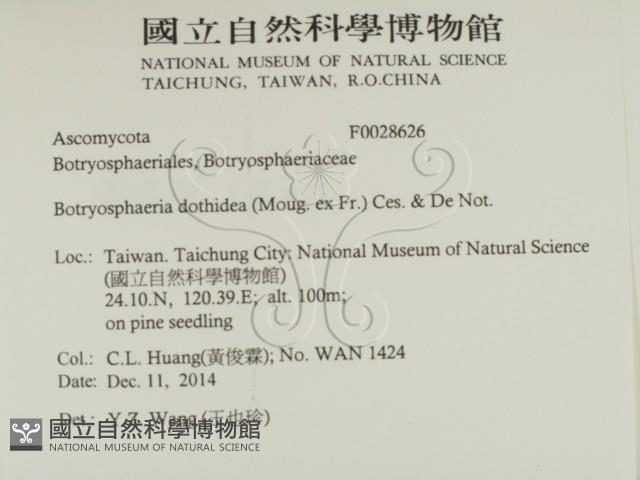 登錄號:F0028626藏品圖，第2張