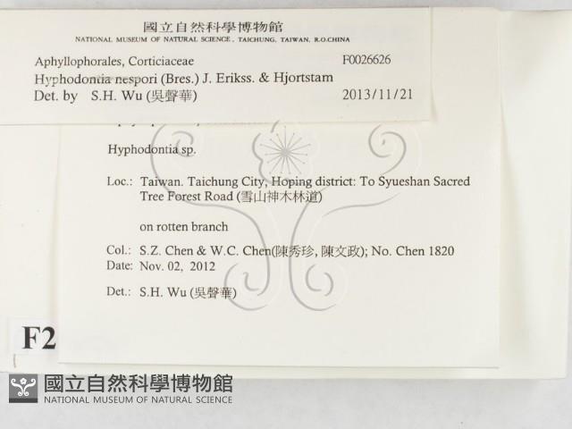 登錄號:F0026626藏品圖，第2張