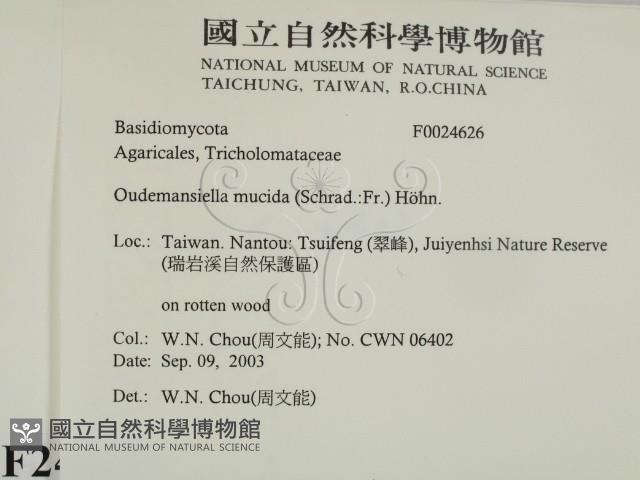 登錄號:F0024626藏品圖，第2張