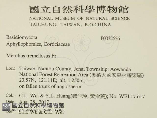 登錄號:F0032626藏品圖，第2張