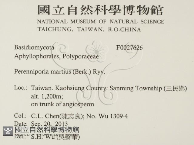 登錄號:F0027626藏品圖，第2張