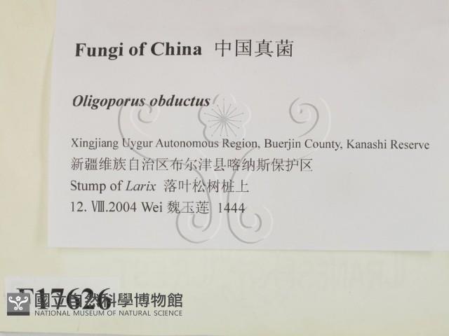 登錄號:F0017626藏品圖，第2張
