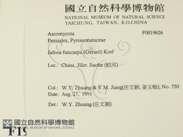 登錄號:F0019626藏品圖，第2張