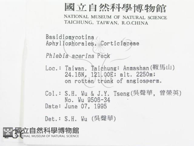 登錄號:F0003626藏品圖，第2張