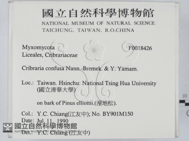 登錄號:F0018426藏品圖，第2張