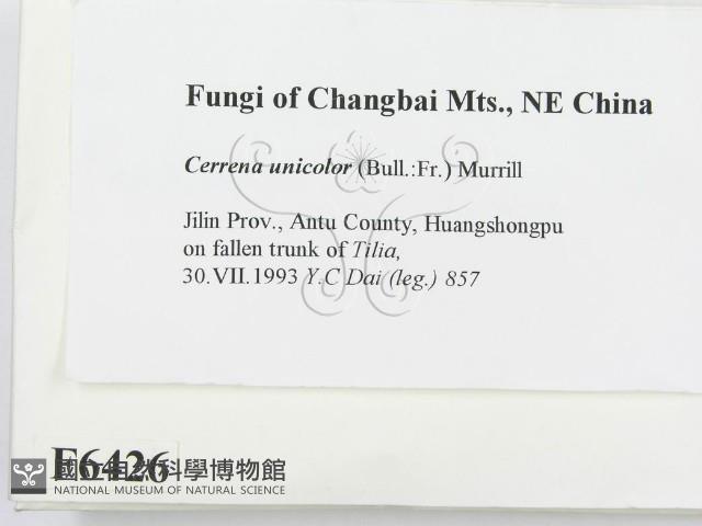 登錄號:F0006426藏品圖，第2張