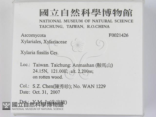 登錄號:F0021426藏品圖，第2張