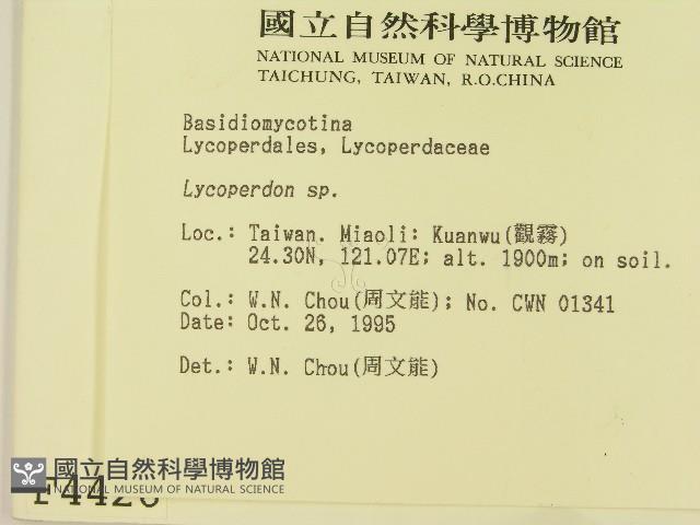 登錄號:F0004426藏品圖，第2張