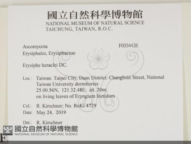 登錄號:F0034426藏品圖，第2張