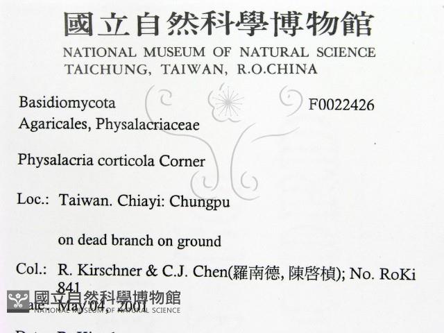 登錄號:F0022426藏品圖，第2張