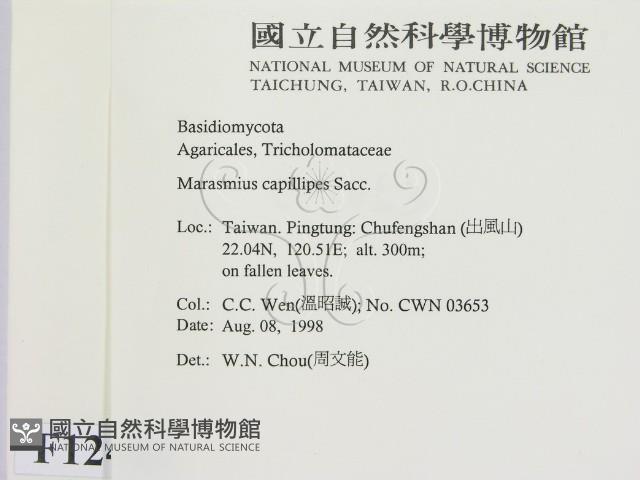 登錄號:F0012426藏品圖，第2張
