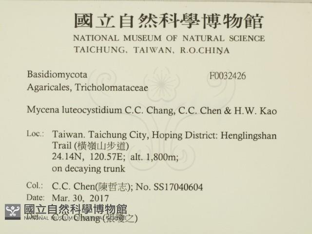 登錄號:F0032426藏品圖，第2張