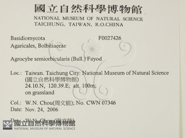 登錄號:F0027426藏品圖，第2張