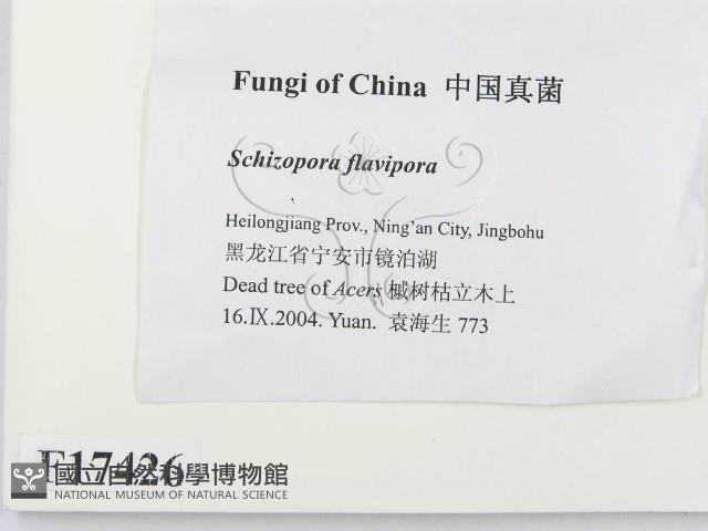 登錄號:F0017426藏品圖，第2張