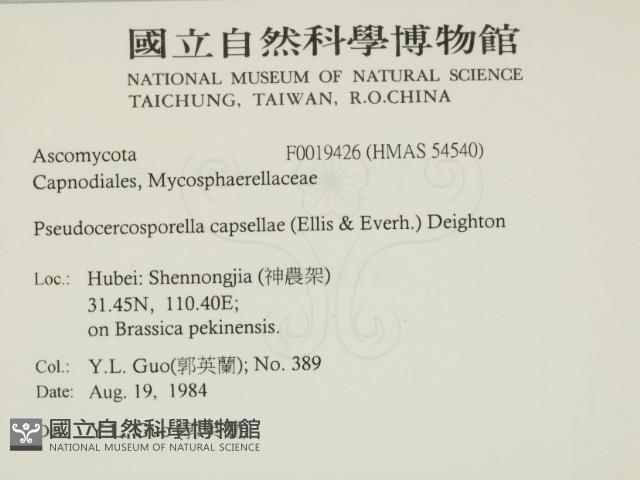 登錄號:F0019426藏品圖，第2張