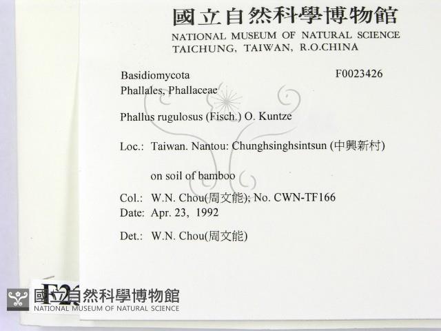 登錄號:F0023426藏品圖，第2張