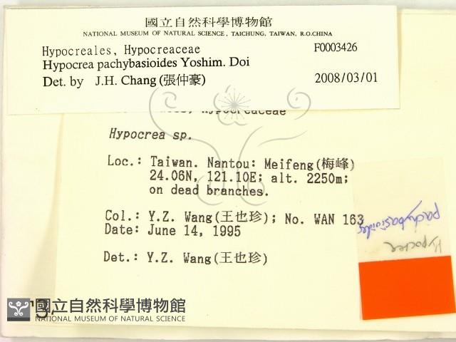 登錄號:F0003426藏品圖，第2張