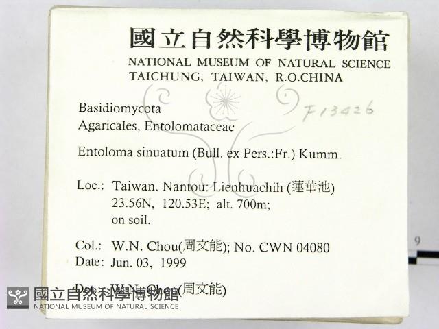 登錄號:F0013426藏品圖，第2張