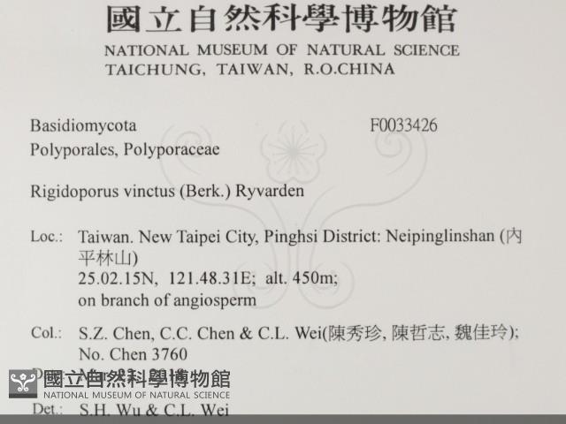 登錄號:F0033426藏品圖，第2張