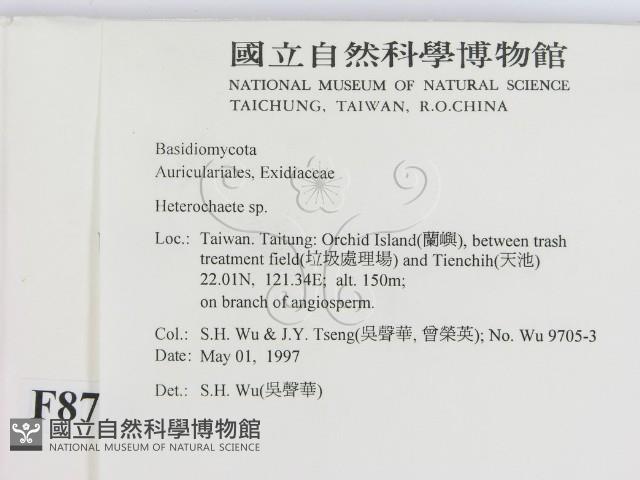 刺皮菌屬藏品圖，第2張